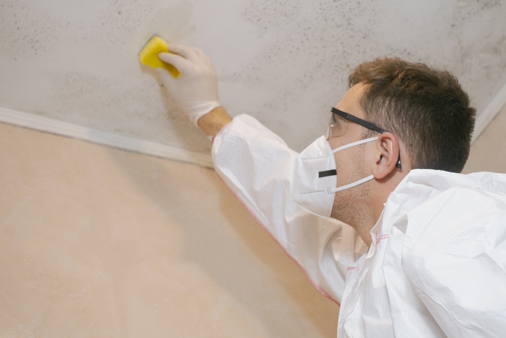 cleaning mold